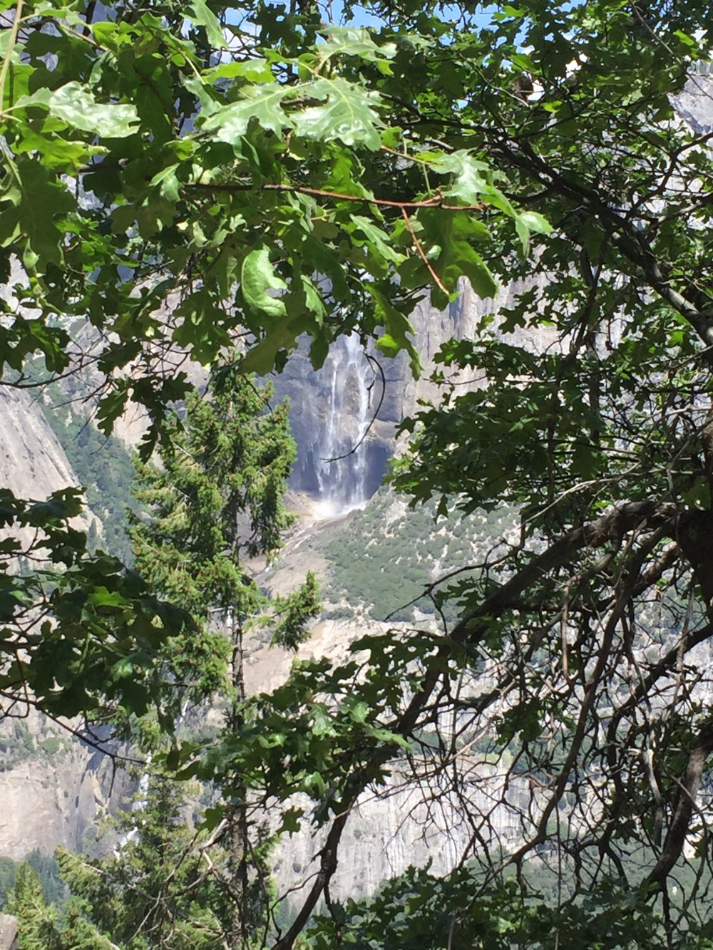 025-Now level w Upper Falls