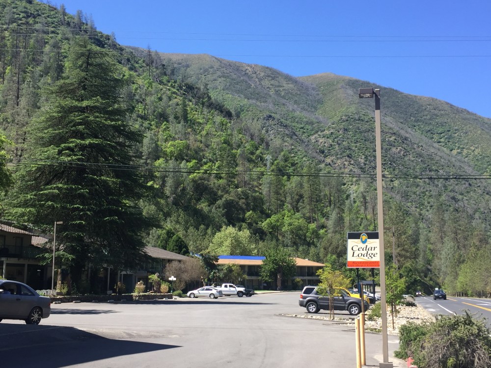 Cedar Lodge Yosemite